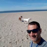 Gaetano A Palumbo|||, 47, man