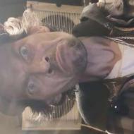 sam karny|||, 40, man